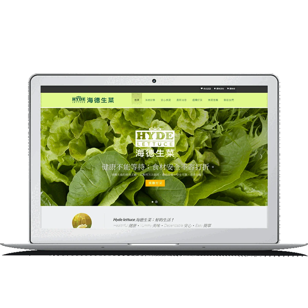 Hyde lettuce海德生菜|網站設計存檔